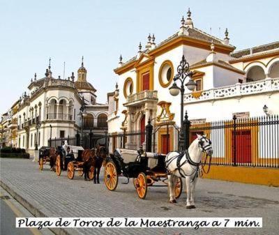 Apartamento Mit Terrasse, Naehe Kathedrale Von Sevilla
